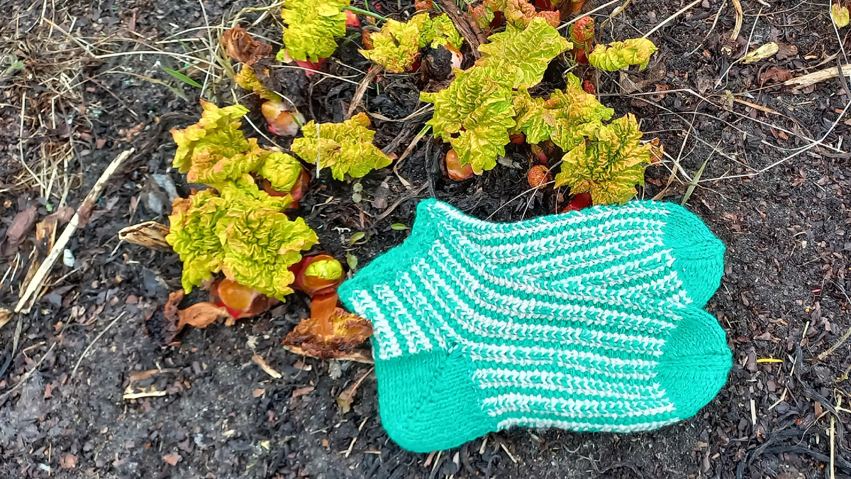 Фото из моего архива