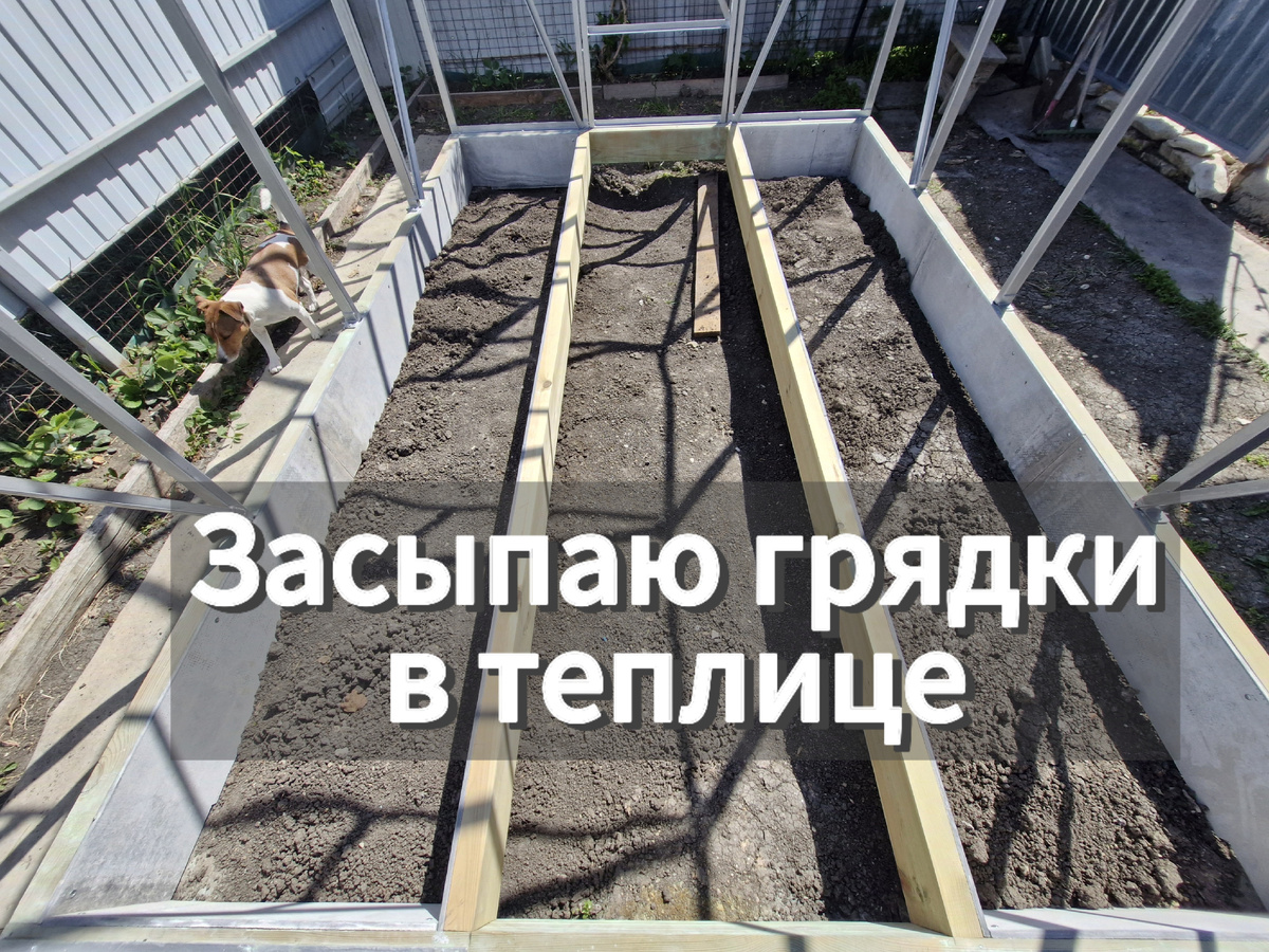 Наша теплица