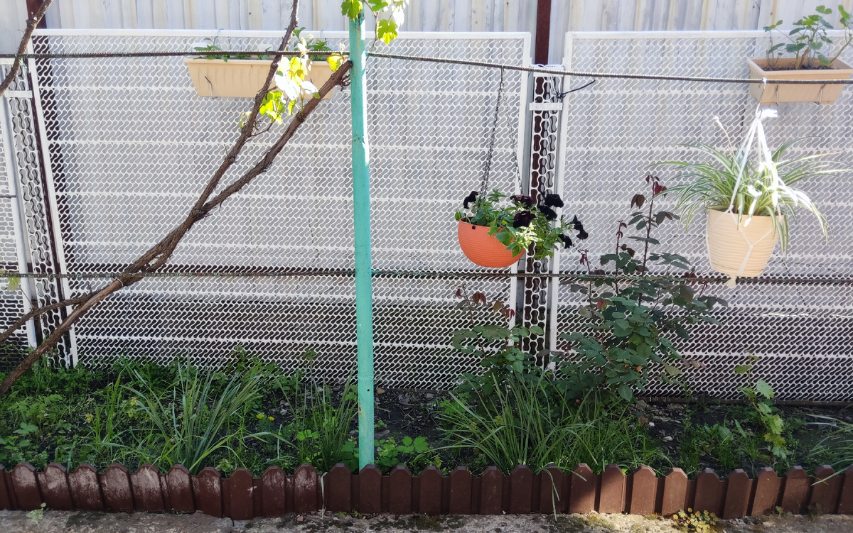 Мой неприкаянный кусочек земли