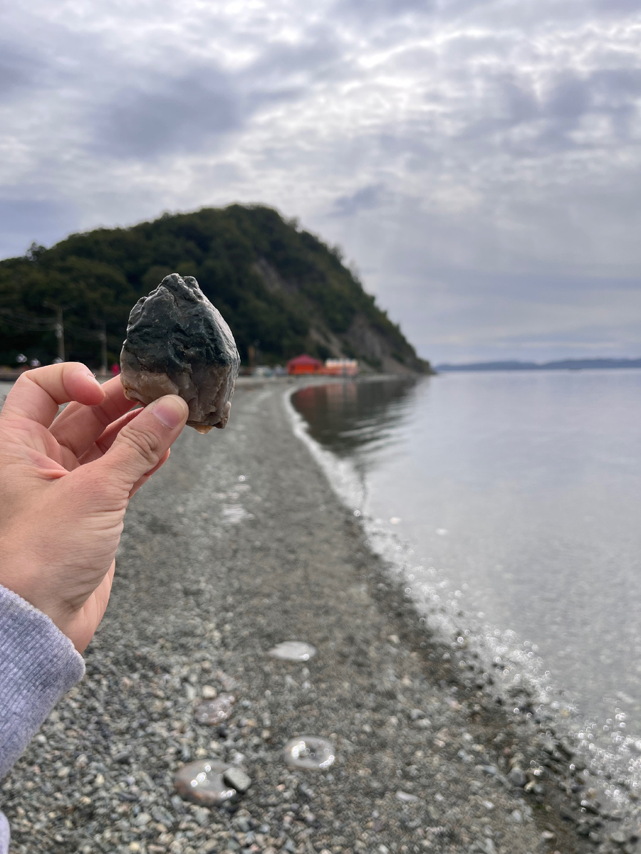 Вид на Никольскую сопку с набережной 