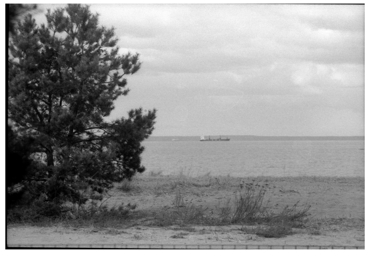 Фото: Александр Панов