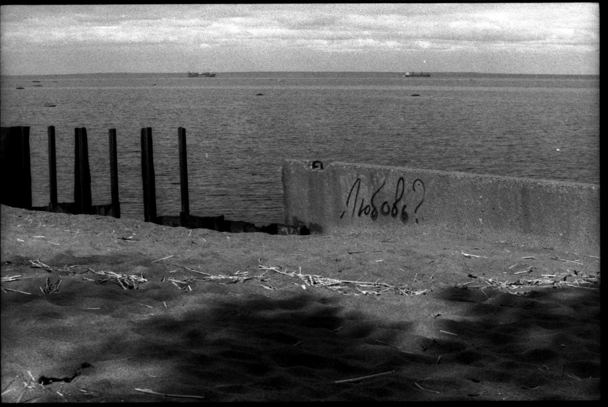 Фото: Александр Панов