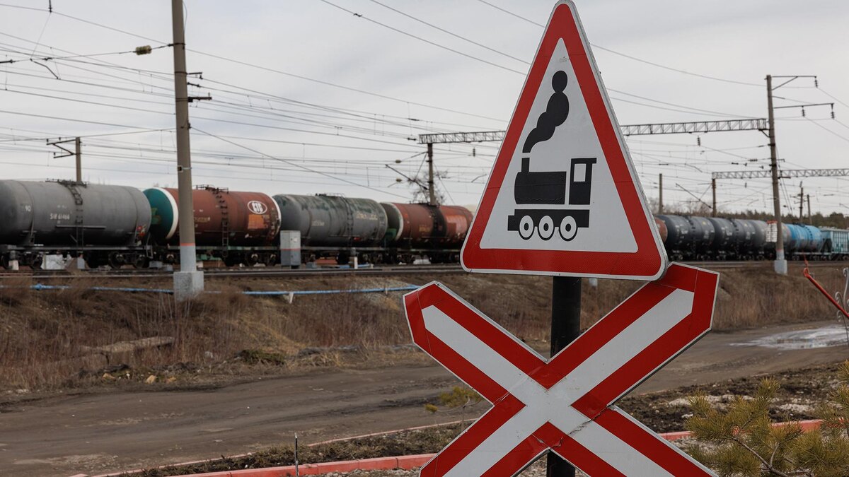    Фото: Sergey Elagin/globallookpress.com