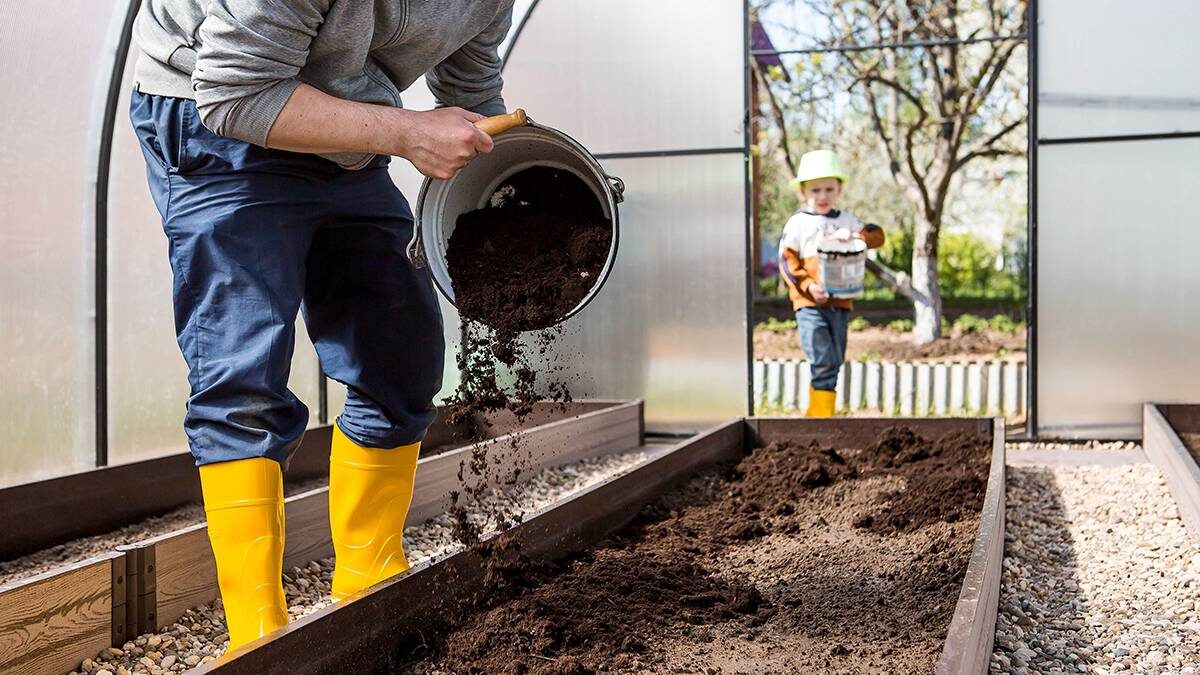    Фото: Shutterstock