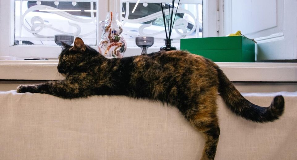    Roman Naumov/URA.RU / www.globallookpress.com