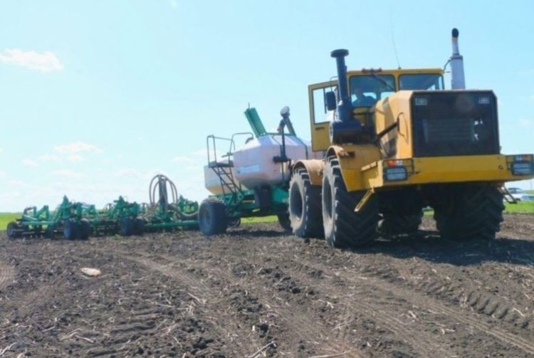    Расширение площадей под картофелем и овощами запланировано в посевной Омской области 2025