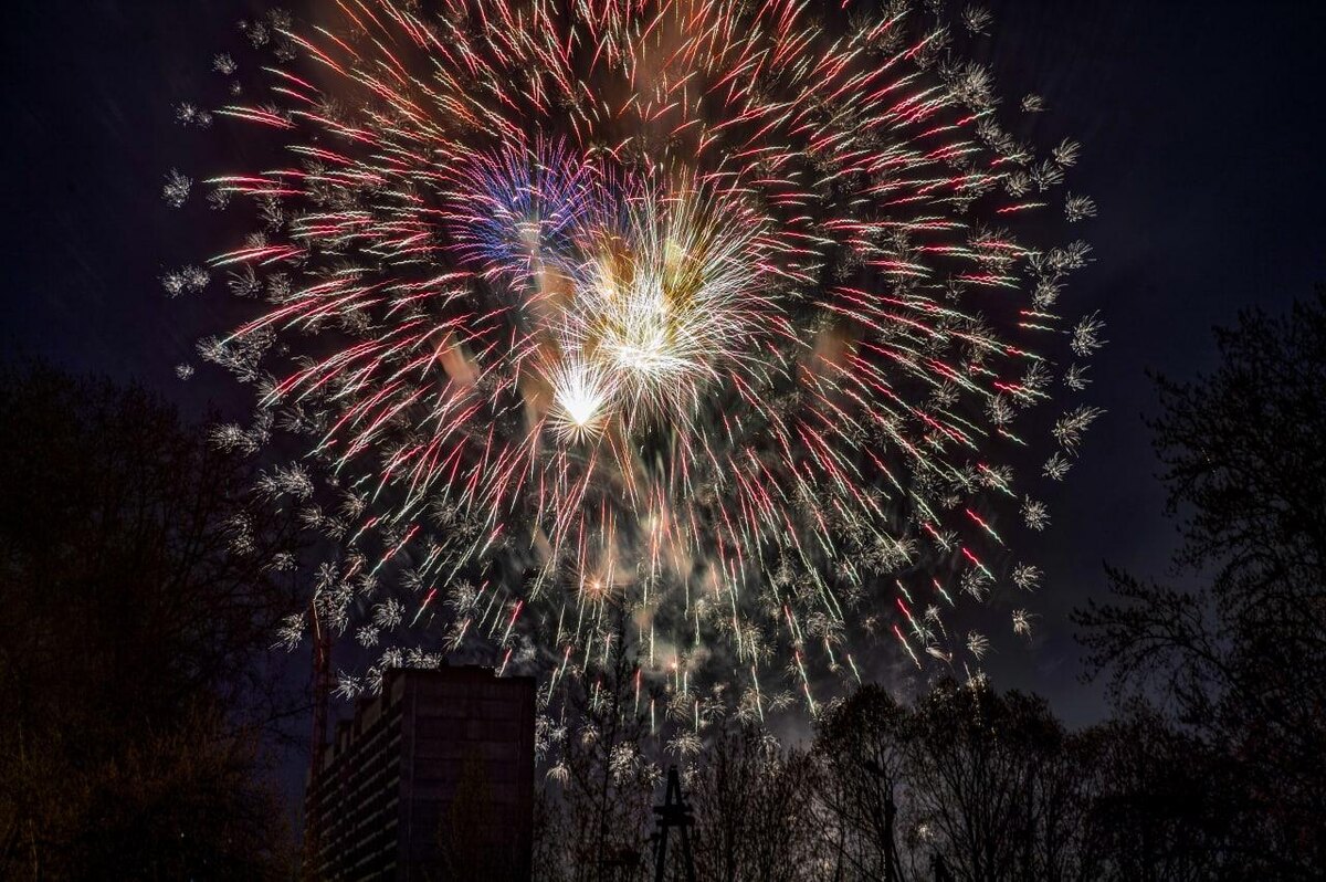    Архив ИД "Новый компаньон" © Константин Долгановский