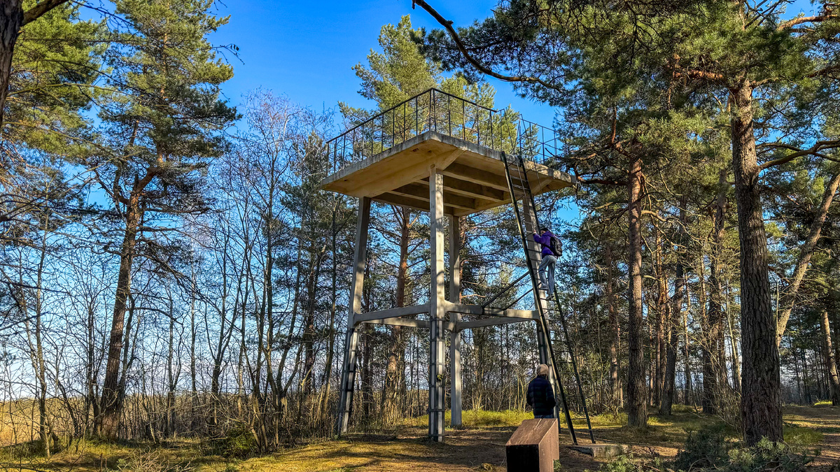 Экотропа «Ладожские берега», фотографии автора 