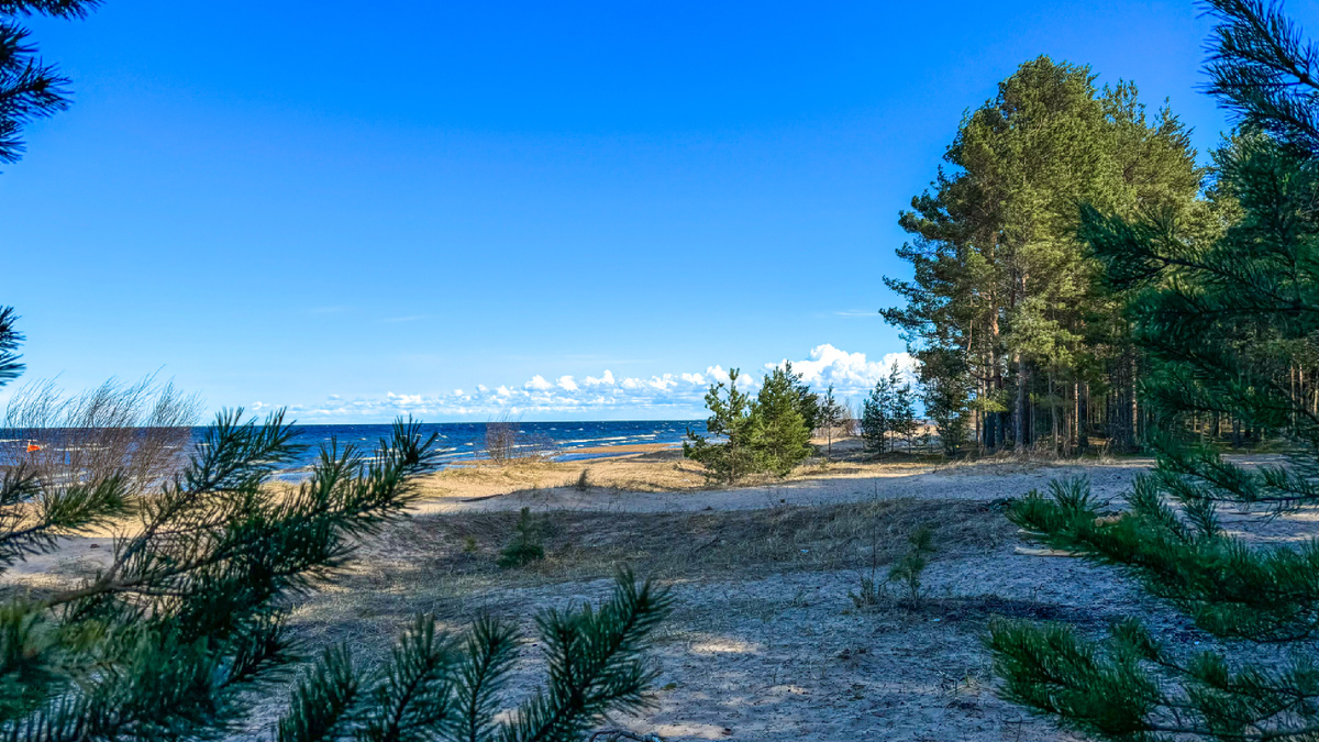 Экотропа «Ладожские берега»