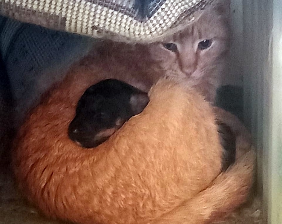 Фото: Виктория Владимировна