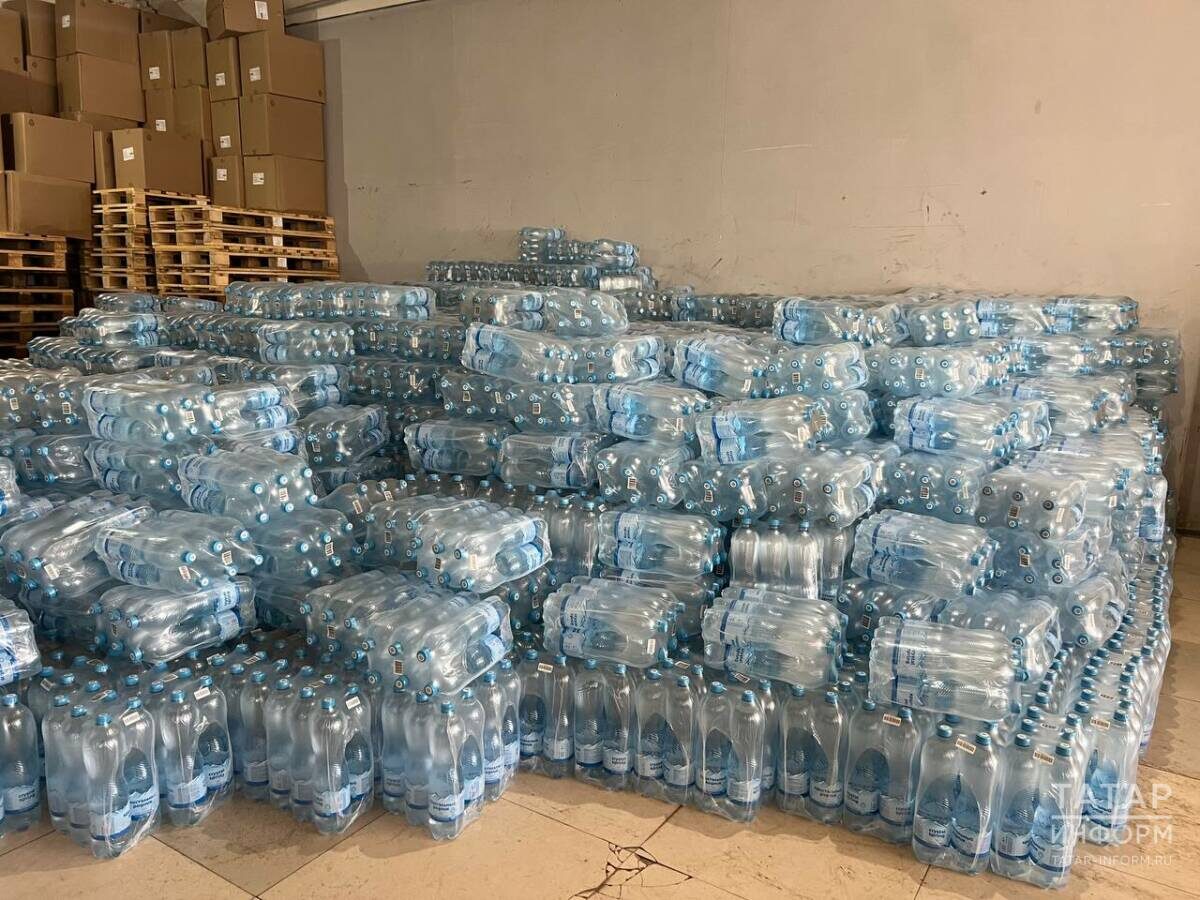 Фото: аппарат вице-премьера РТ Фаниля Аглиуллина