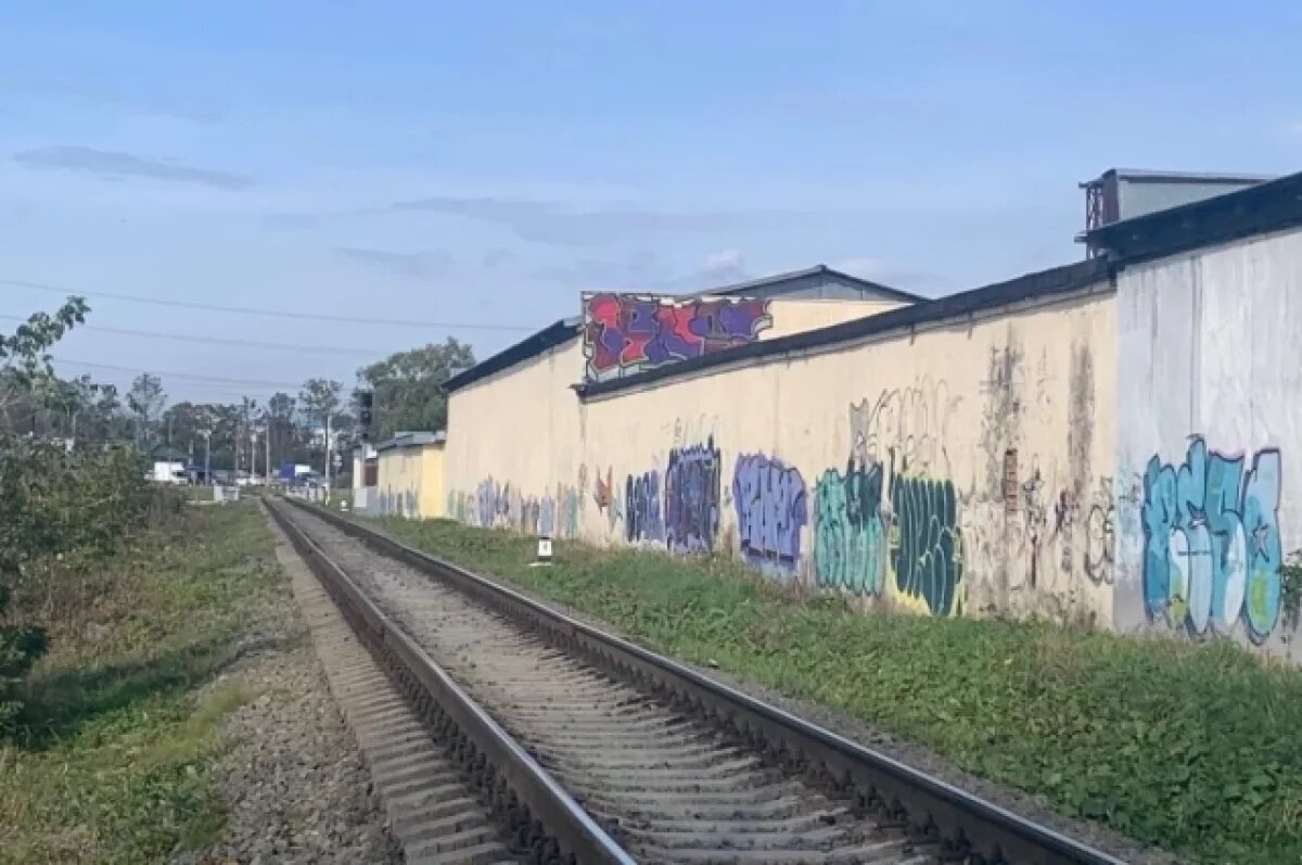    Мизулиной пожаловались на запрещенные граффити под Волгоградом