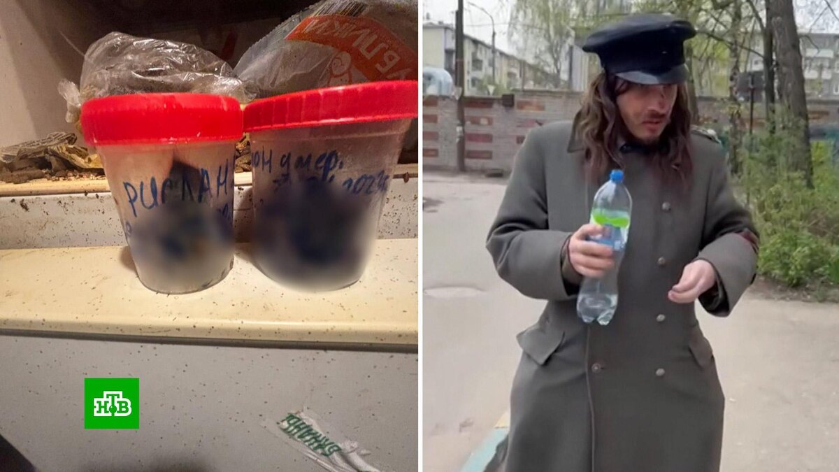    Появились кадры из квартиры с трупами кошек и собак в Нижнем Новгороде