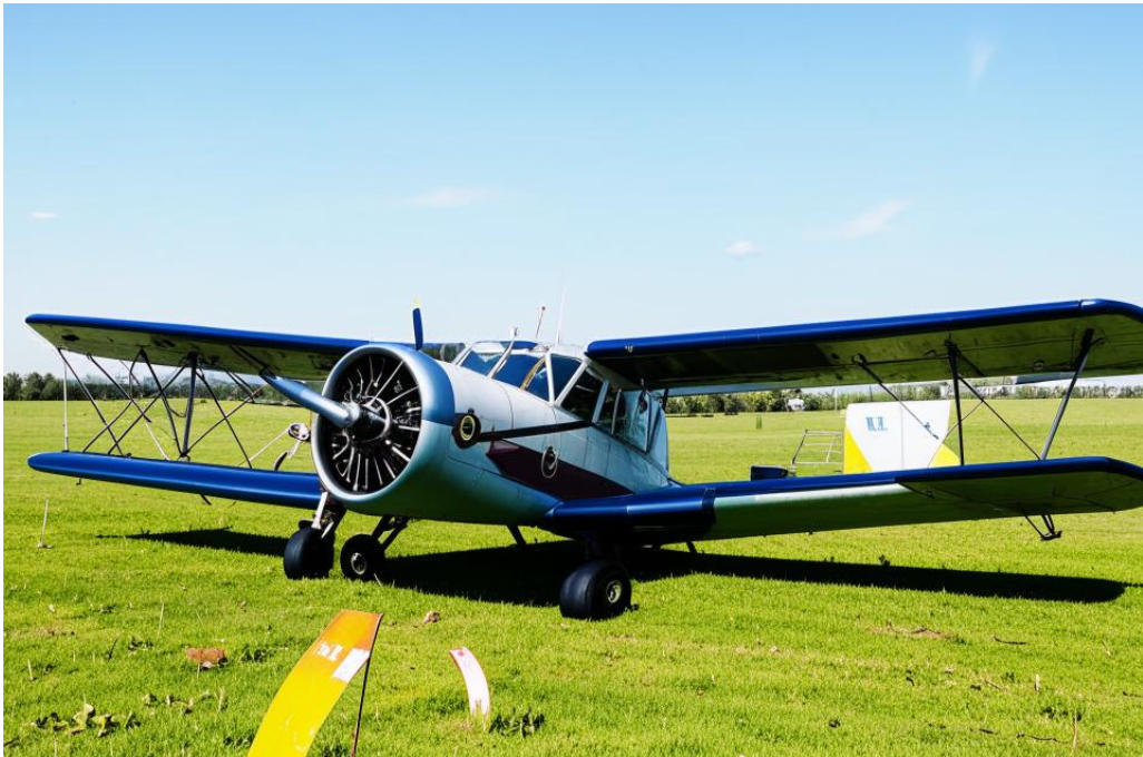 Изображение сгенерировала нейросеть Kandinsky.