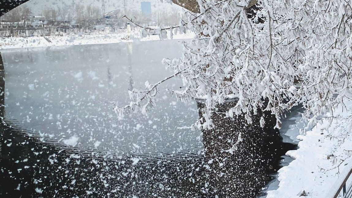     Источник: 1MI