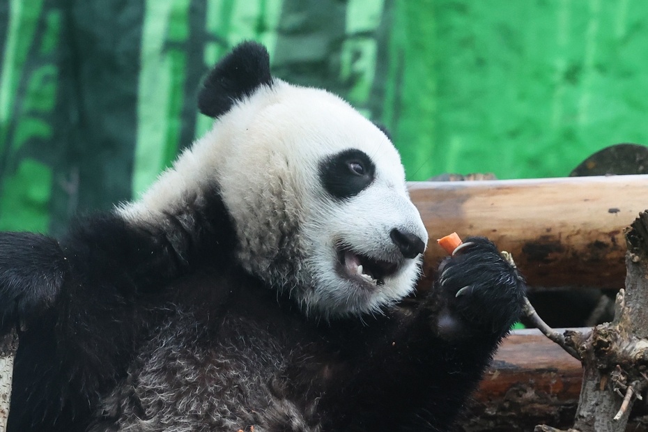    Алексей Белкин/NEWS.ru