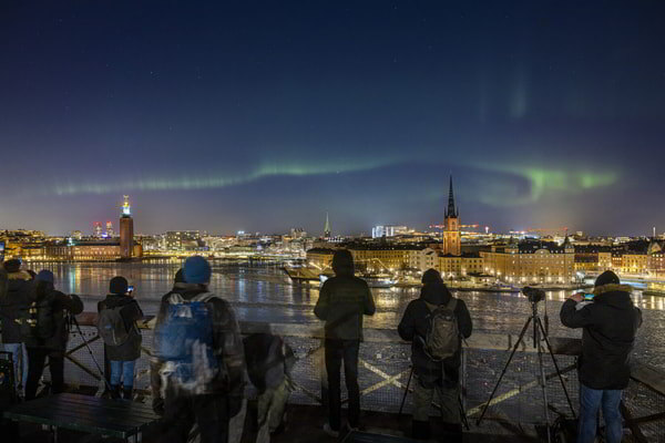    Команда Швеции попытается восстановить привлекательный образ страны