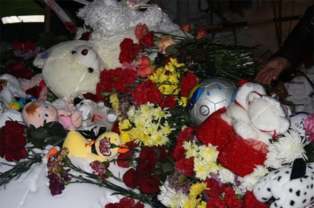    Ольга Авдеева озвучила основные причины гибели детей в 2024 году