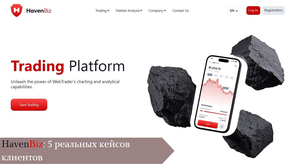 HavenBiz: 5 реальных кейсов клиентов