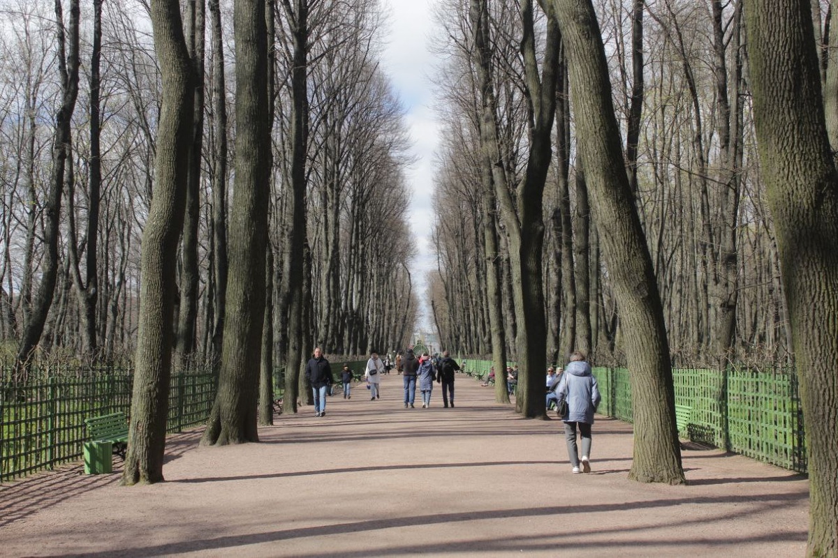    Летний сад. Фото: Мойка78