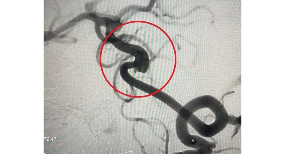   Пресс-служба Министерства здравоохранения Московской области