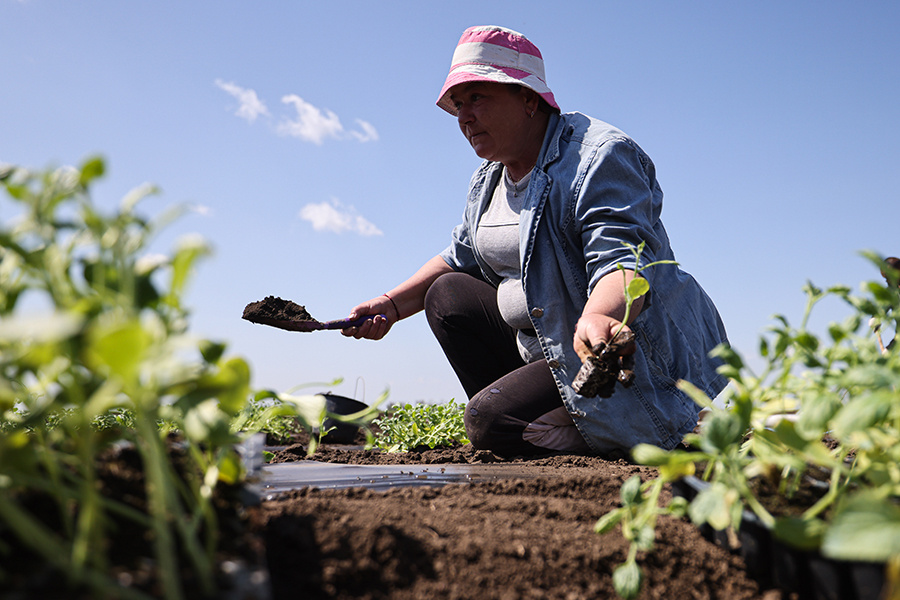    © Алексей Коновалов/ТАСС