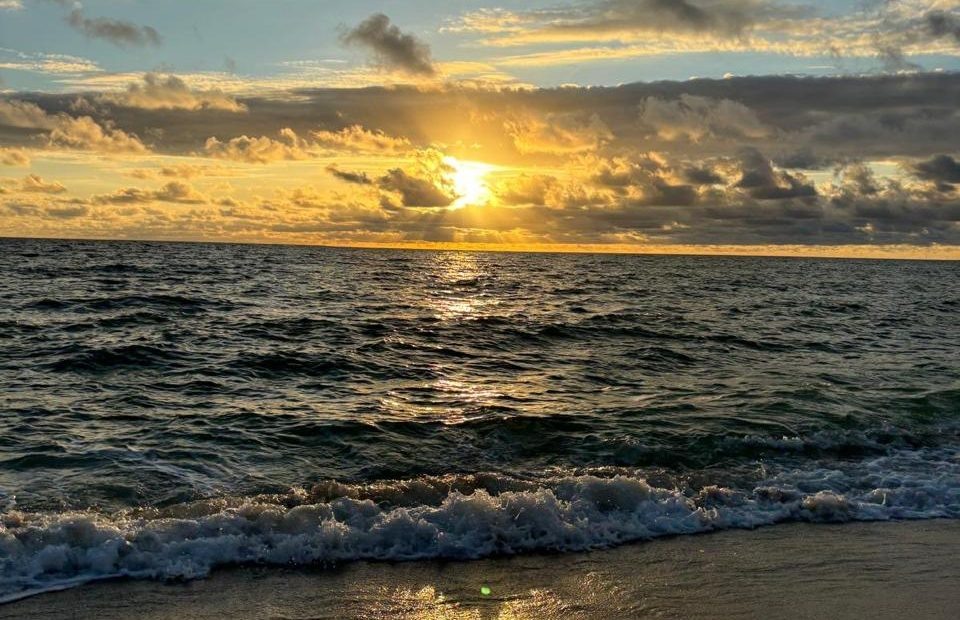    фото: Сочи 24