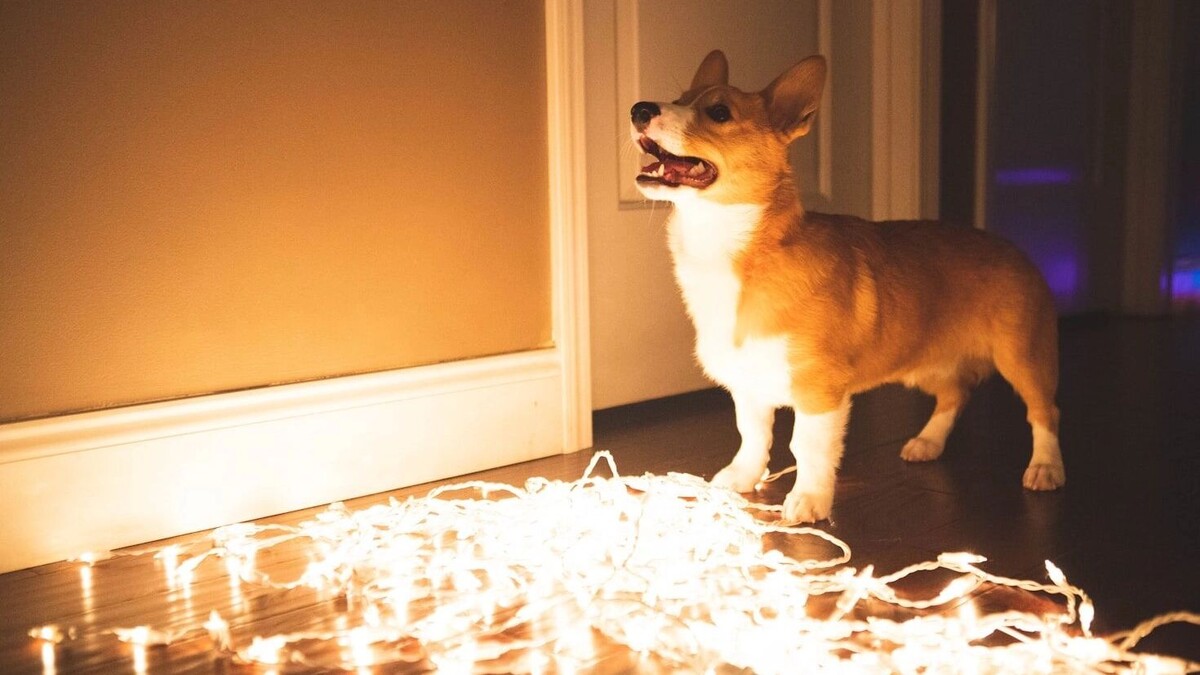     Автор: Unsplash