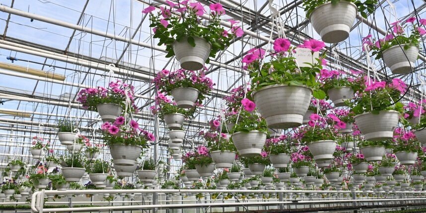    Игорь Акимов