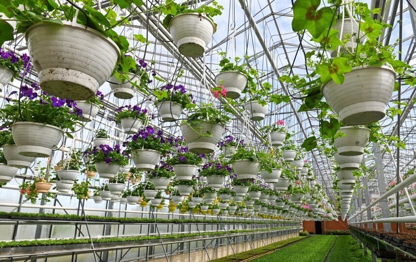    Игорь Акимов