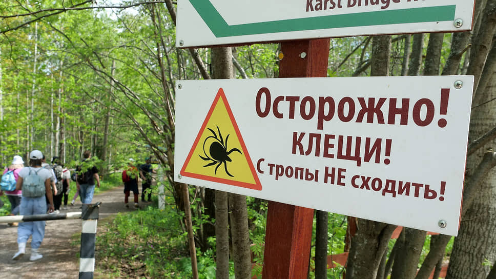 Фото: Евгения Яблонская / Коммерсантъ