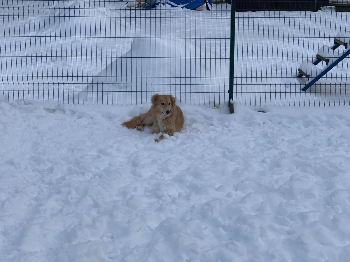 Вот такие мы прибтские - не всегда сразу всем верим