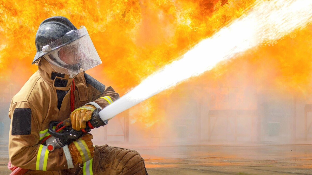    Фото: Teerapong mahawan/Shutterstock/Fotodom