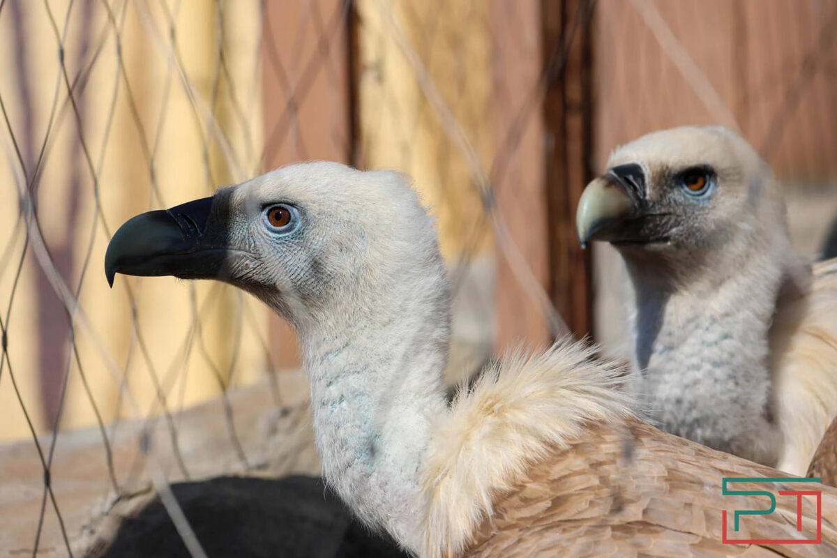 Фото: Юлии Бидун «РТ»