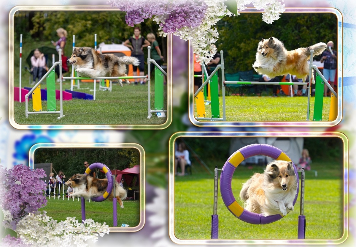 Афина и Лагерта. Фото со страницы Инги Петровой.