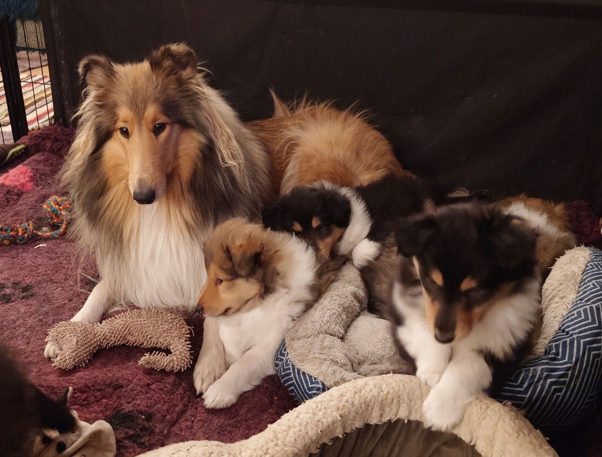 Фото из личного архива