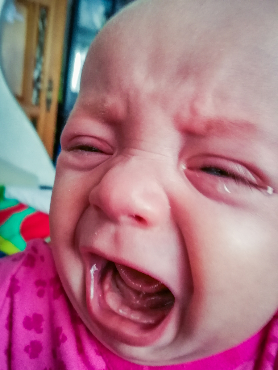 22 февраля 2019 года. Зубки нижние уже видно!