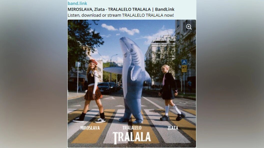    ФОТО: телеграм канал Мирославы