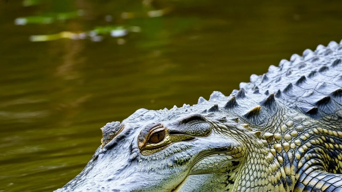    Сгенерировано ИИ