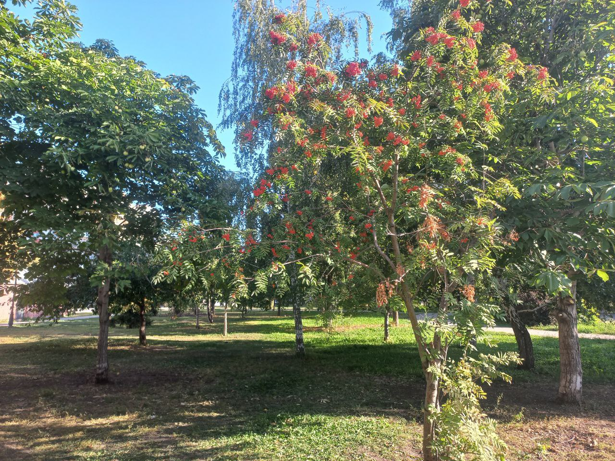 Фото автора.