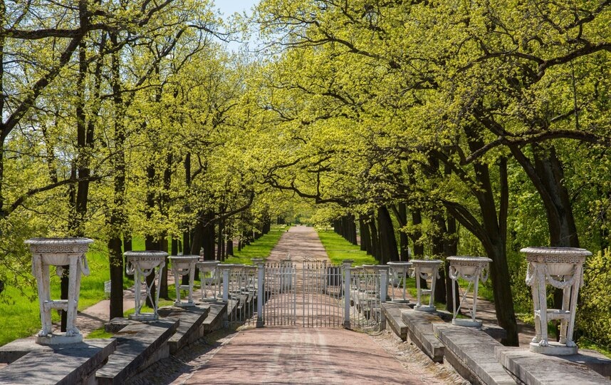    Пандус.предоставлено пресс-службой ГМЗ "Царское село"
