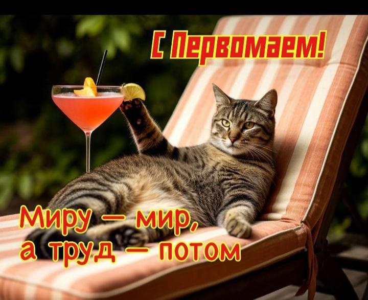 Коллеги - это бухгалтера, "те, которые не улыбаются" (с муж) 😁