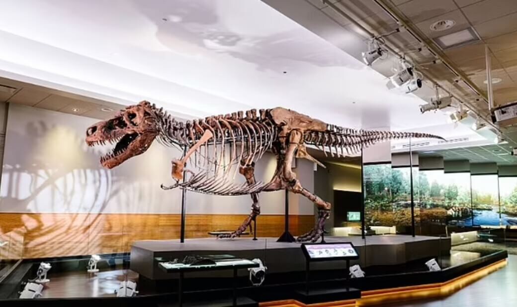    Ученые смогли воссоздать коллаген из окаменелостей Тираннозавра. Источник: dailymail.co.uk