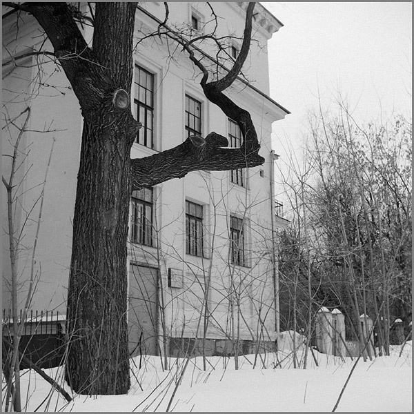 Тут и далее Kodak T-Max 100