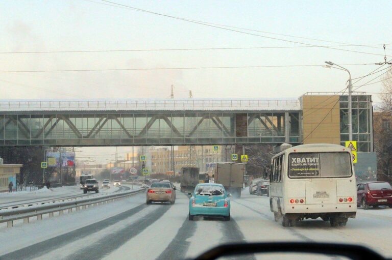    Фото из Telegram-канала Дмитрия Махини Ольга Чистова