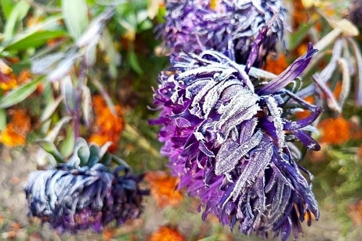    Температура воздуха в Краснодарском крае опустится до -3