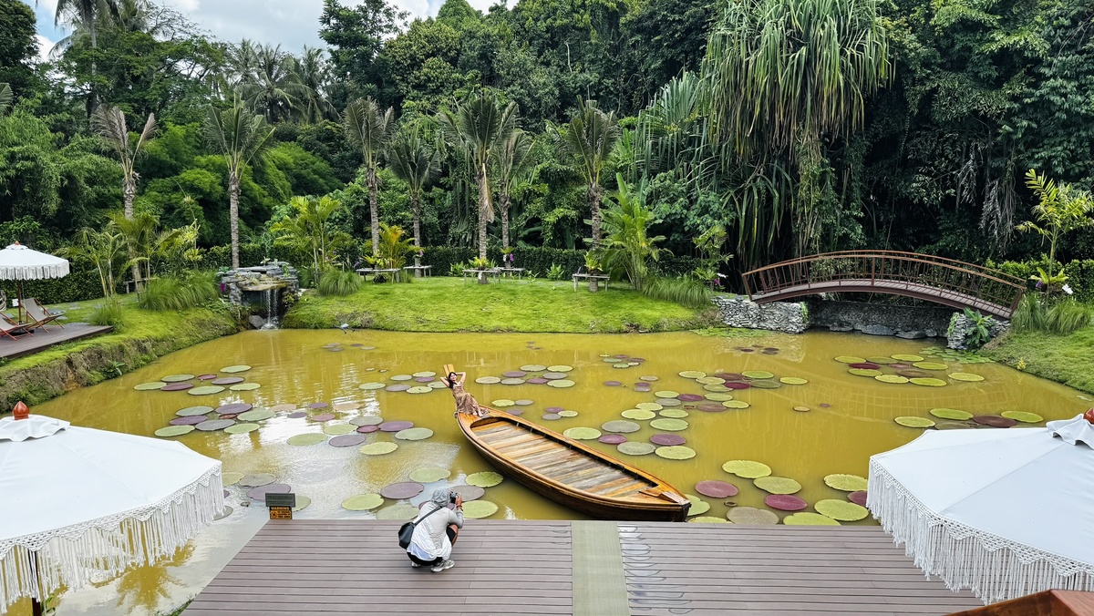 Пруд с лодкой и кувшинками, вокруг лежаки и зонтики