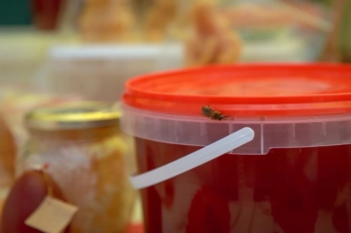    История пчеловодства стара, как мир.