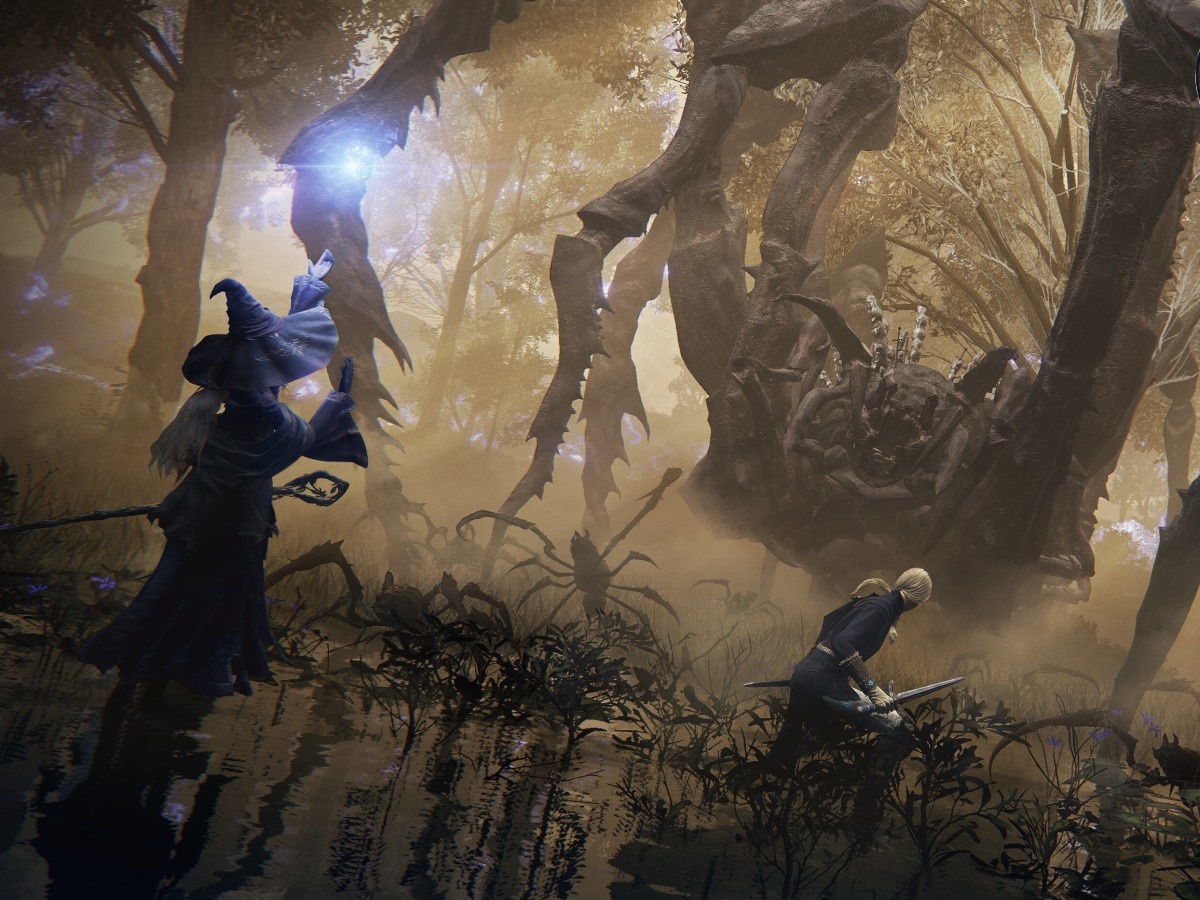    Мало места, много памяти. Опубликованы системные требования Elden Ring Nightreign