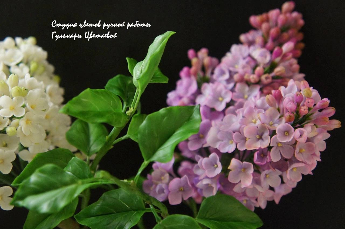 Букет из веток сирени